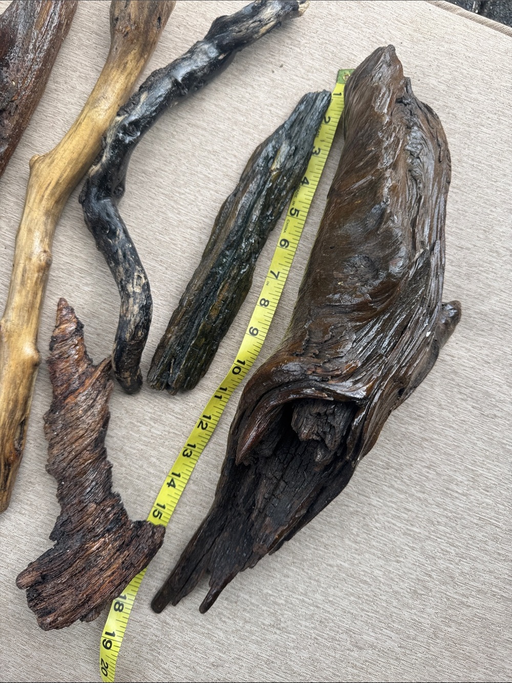 Pacific Northwest Natural Driftwood Coastal Collection Shellacked 7 pcs - Picture 2 of 8
